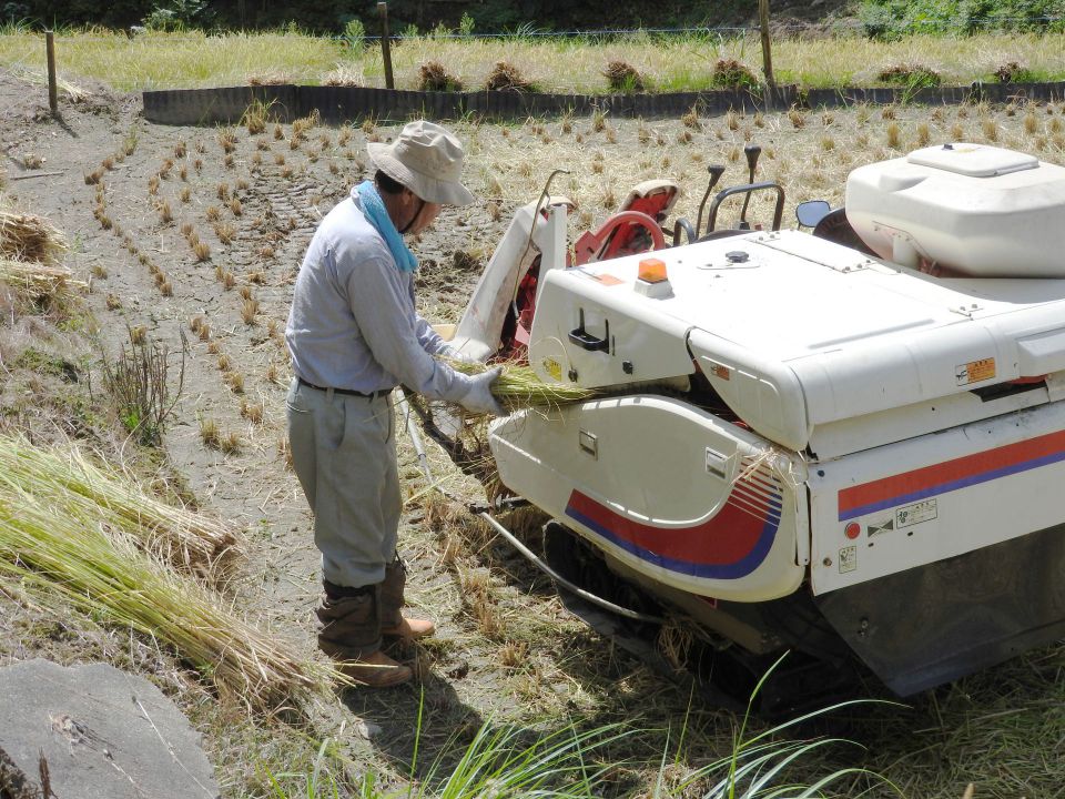 電子温度計の革新と利用拡大