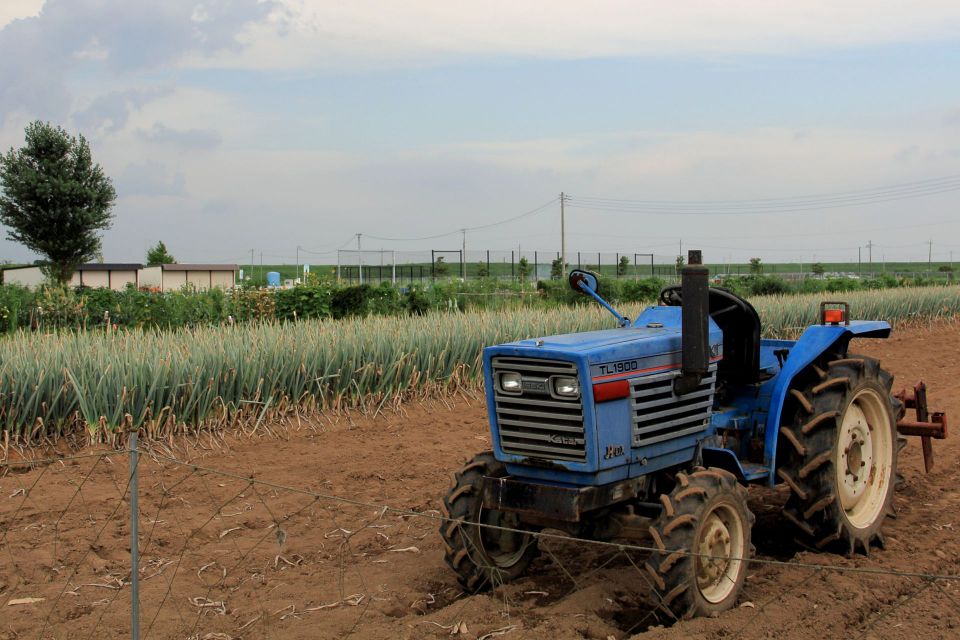 食品工場の温度管理の重要性と必要性